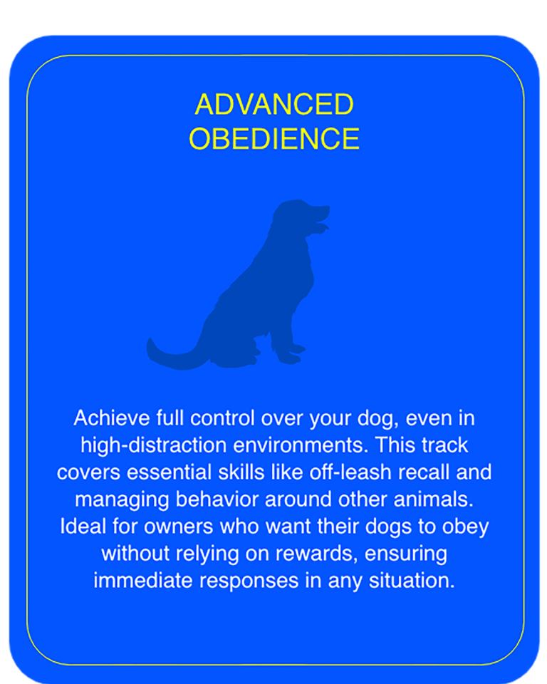 Advanced Obedience