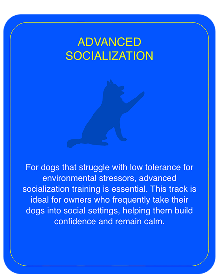 Advanced Socialization.
