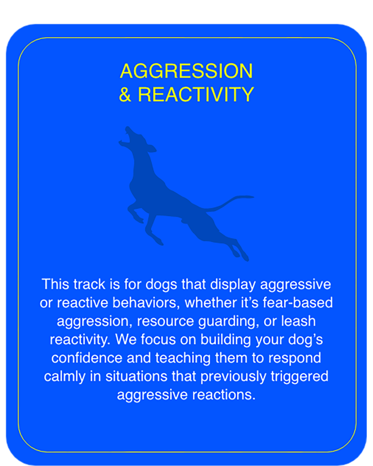 Aggression & Reactivity