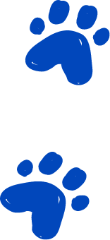 Paw Prints