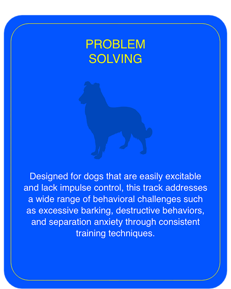 Problem Solving